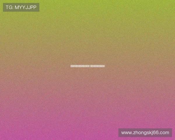 汉堡有望租借签下武什科维奇 热那亚也在关注该球员